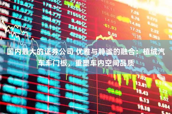 国内最大的证券公司 优雅与静谧的融合：植绒汽车车门板，重塑车内空间品质