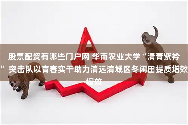 股票配资有哪些门户网 华南农业大学“清青紫衿” 突击队以青春实干助力清远清城区冬闲田提质增效